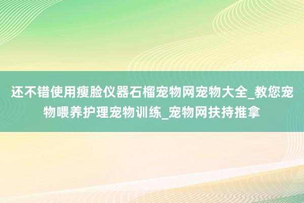 还不错使用瘦脸仪器石榴宠物网宠物大全_教您宠物喂养护理宠物训练_宠物网扶持推拿