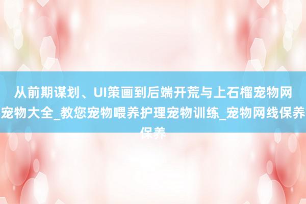 从前期谋划、UI策画到后端开荒与上石榴宠物网宠物大全_教您宠物喂养护理宠物训练_宠物网线保养